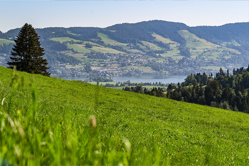 Aussicht